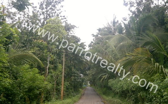 50 cent land for sale in near kuruva island.