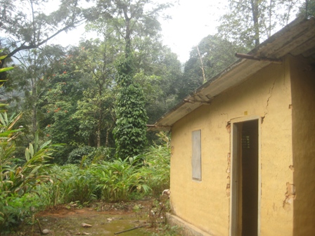 11.81 acres land for sale in wayanad only 7 lac/acre