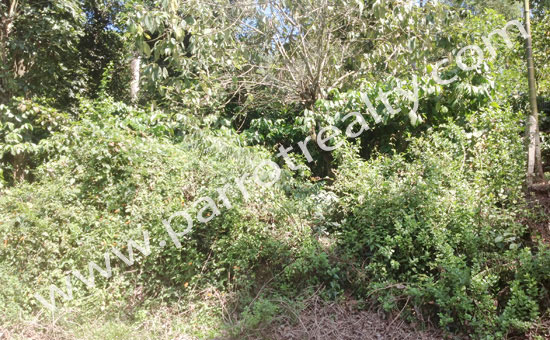 30cent land for sale in front of the road-near karyampadi