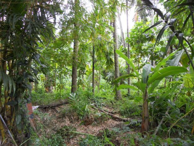 for sale industrial land of 2.5 acres in calicut town