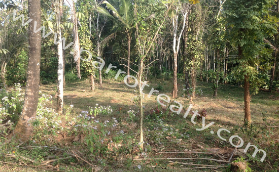 invest now with less price - 20cent in koleri for 7lakh