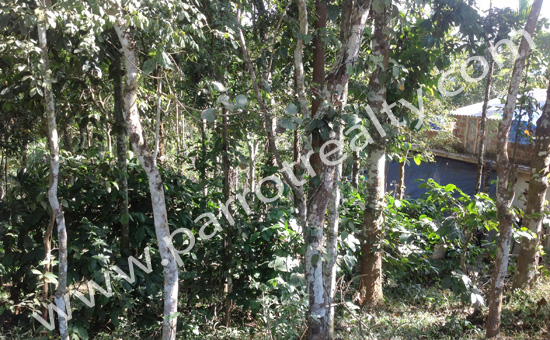 discount price! 20 cent land for sale in erulam for 4lakh