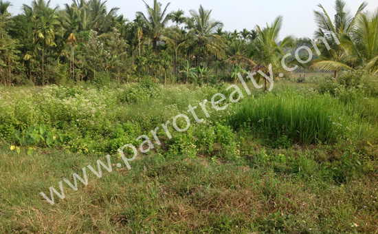10cent plot for sale in prime location of panamaram