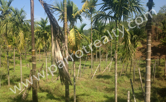 less price in 7.60acre agricultural land at valad