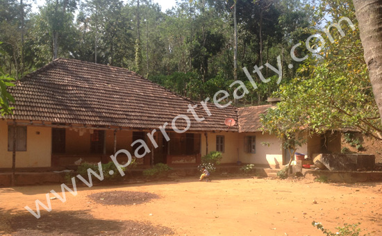 11acre agricultural land for sale in kaattikulam