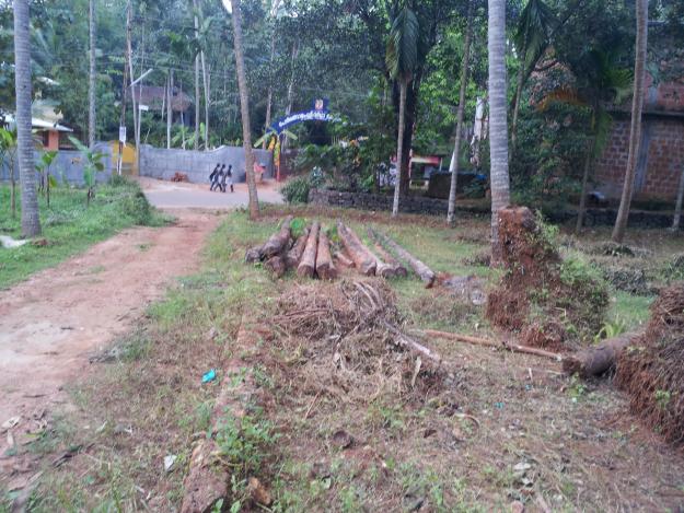 7.25 cents residential land for sale in kurikkattoor,calicut / kozhikode.price rs.275000 per