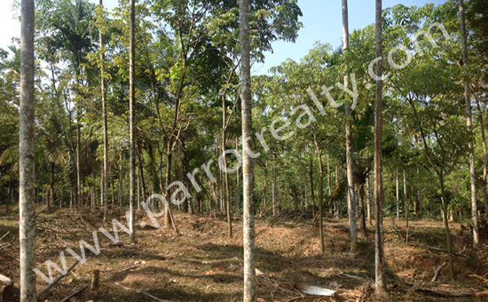 house plot for sale in nadavayal at reasonable price