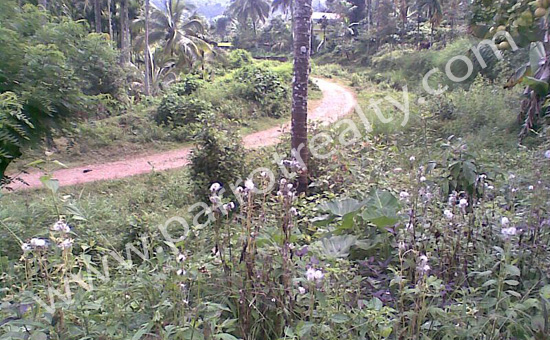 prime land -16 cents for sale in meenangadi town