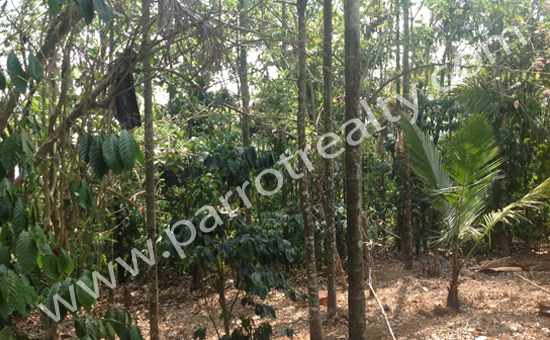 75cent with a small house for sale in vellamunda