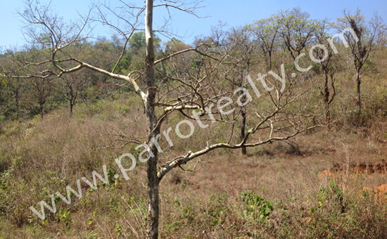 3acre land at reasonable price in kunjom