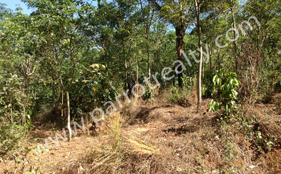 50cent rubber plot for sale in chundakunnu