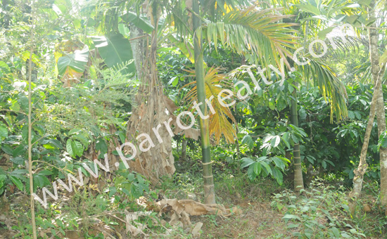 1acre land for sale in near chundakara