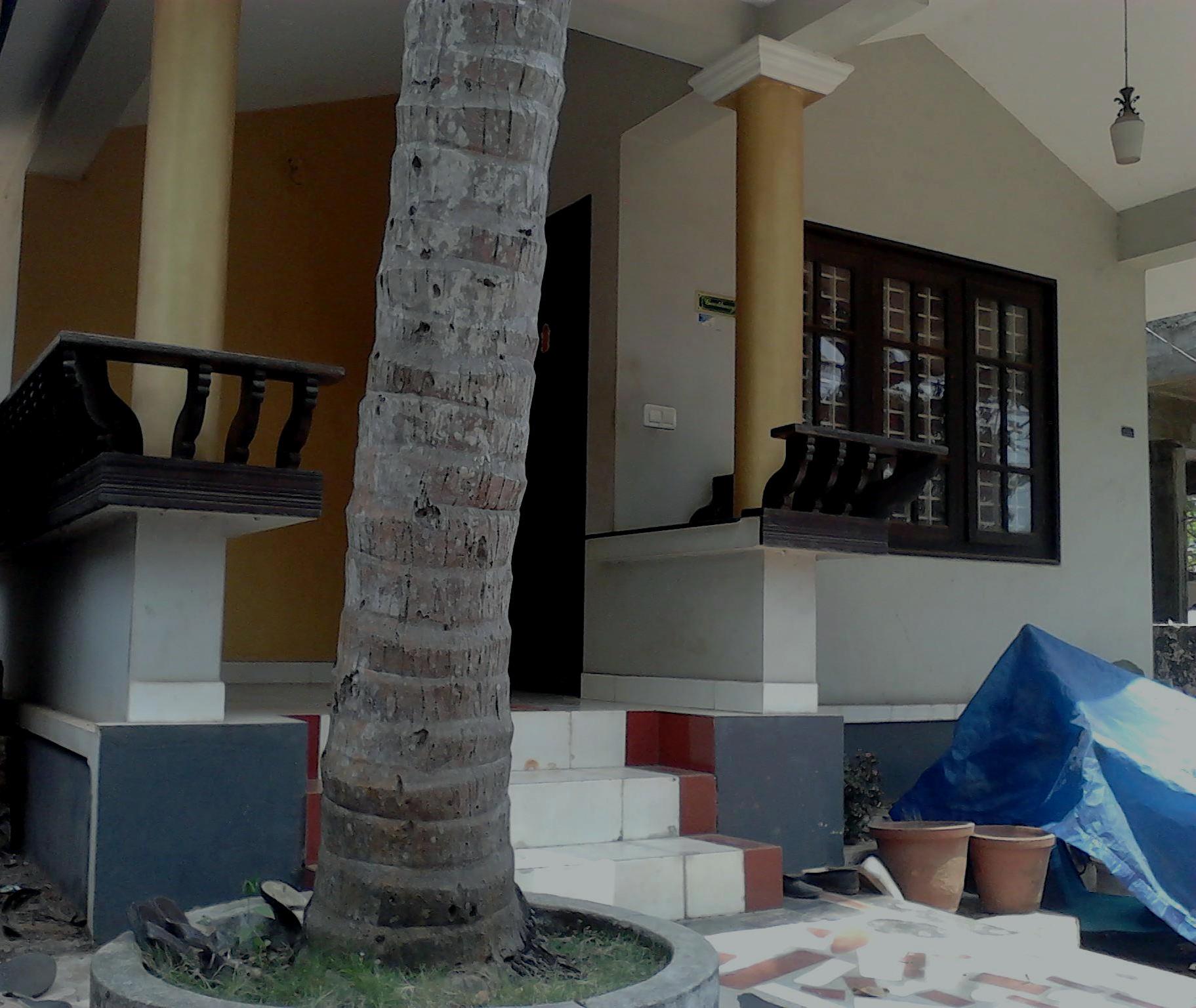 house for sale at vellimadukunnu