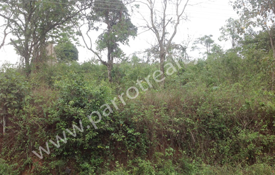 very demanding 1acre land for sale in kaniyaram
