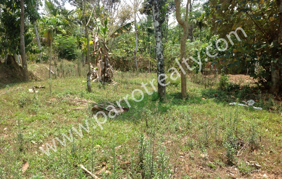 27cent land for sale in kalluvayal at 30000/cent