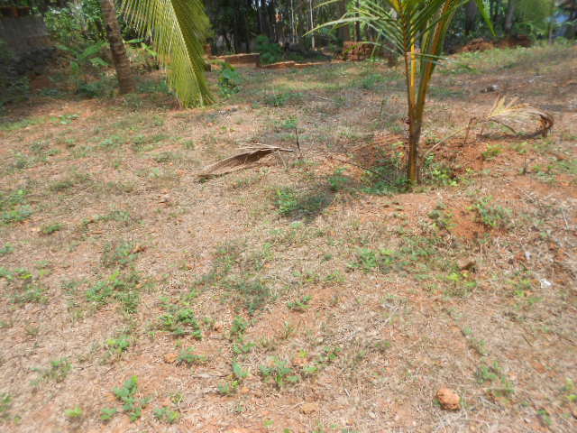 plot 4 sale !!!!!! kozhikode