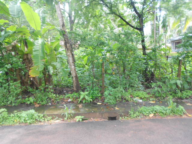 land for sale in calicut city
