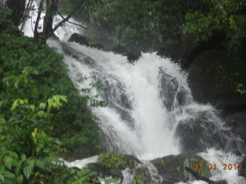 50 acres plantation with excellent waterfalls for sale in meppadi,wayanad,only 8 lacs/acre