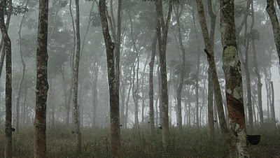 nh 212 frontage 12.5 cent