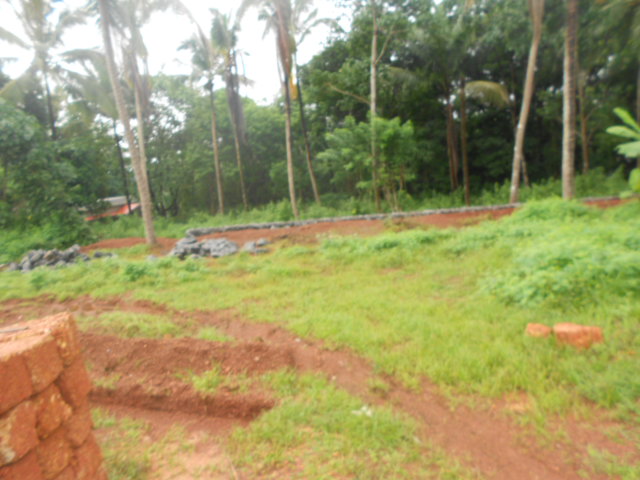 9 cent land parampath calicut 2.5 lakhs per cent.