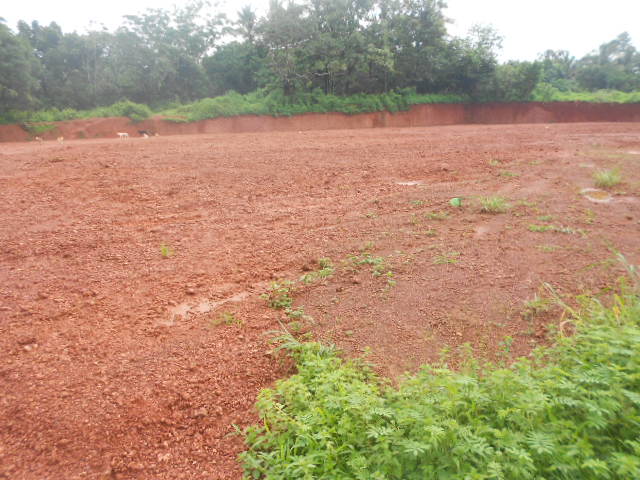 100 cent land parampath calicut 2.5 lakhs per cent.
