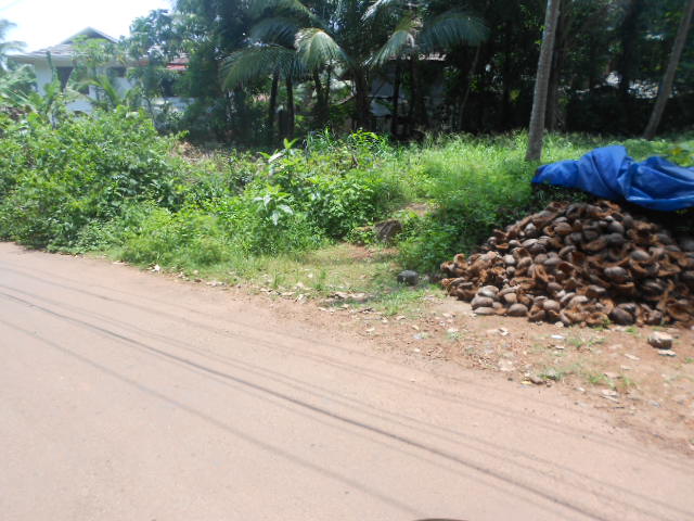16.5 cent plot for sale at calicut city with all facilities near