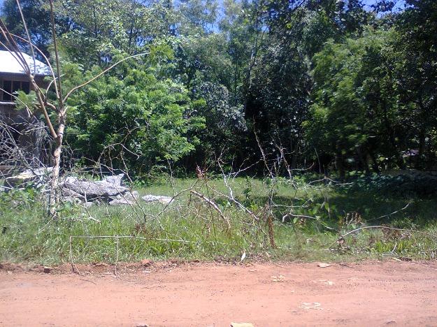 10 cent land with house for sale in calicut