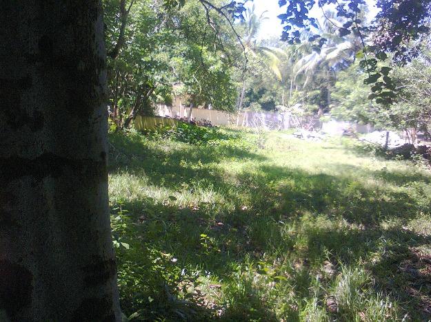 land in calicut