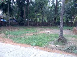 land for sale in calicut