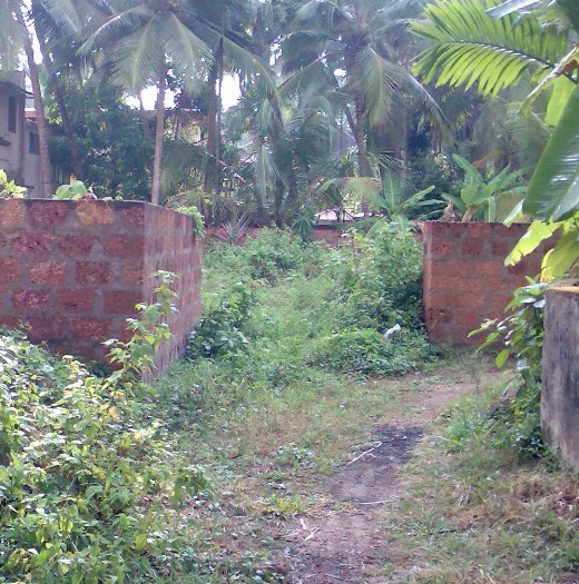 land for sale in calicut nudakkavu