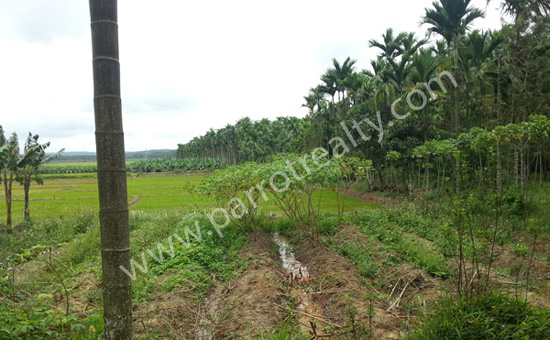 2.39 acre land for sale in poothadi.wayanad