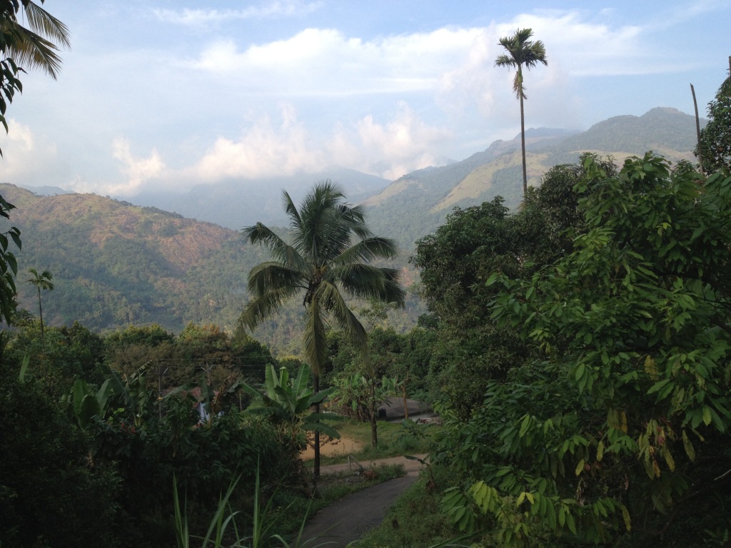 1.68 acre agricultural/resort land at kakkadampoil, calicut