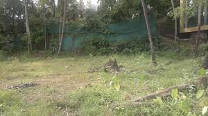 6.23 cents of residential area for sale near nadakkav & english pally