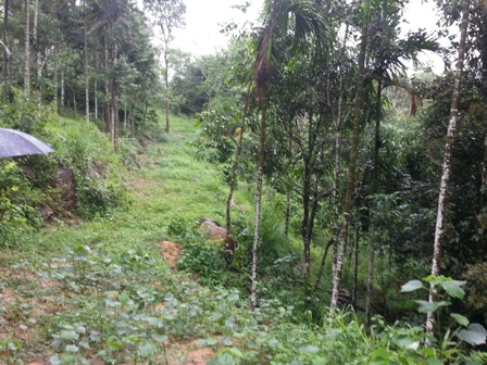 land suitable for resort