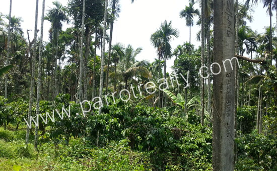 1.50 acre land for sale in near kenichira.