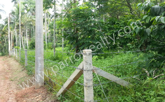 24 cent land for sale in near kenichira.