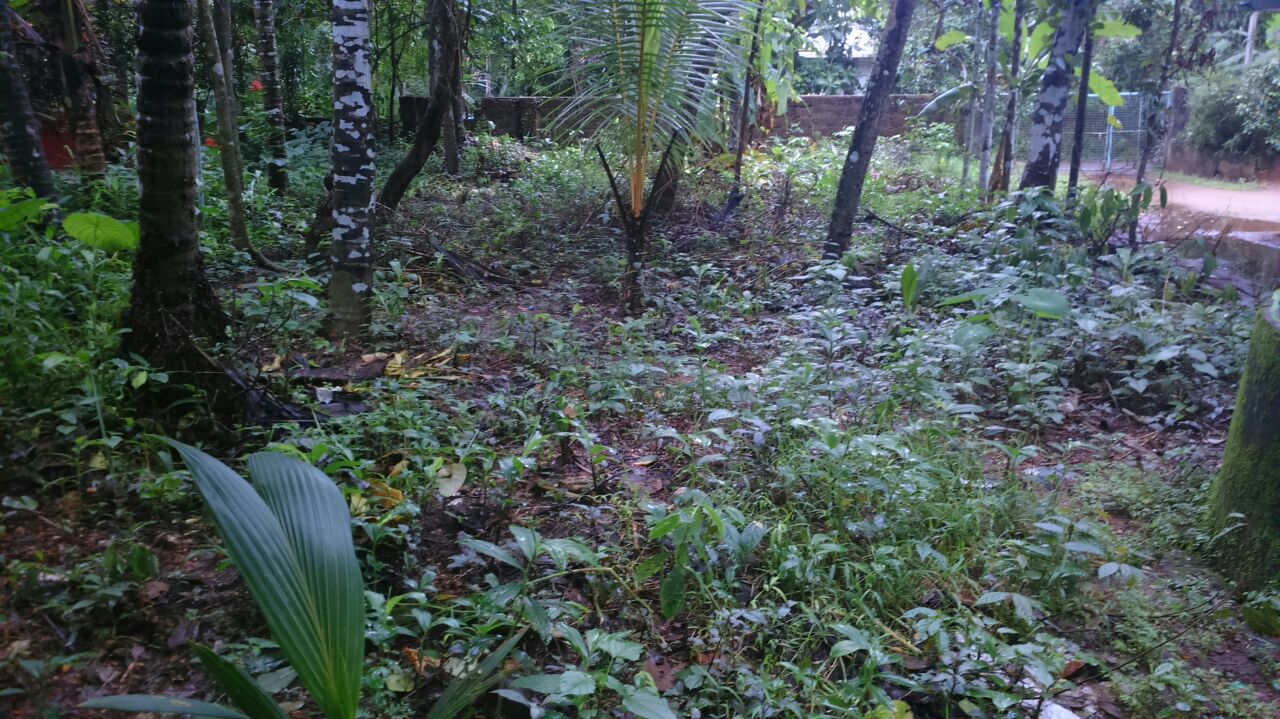 6cent residential plot for sale at meenchada
