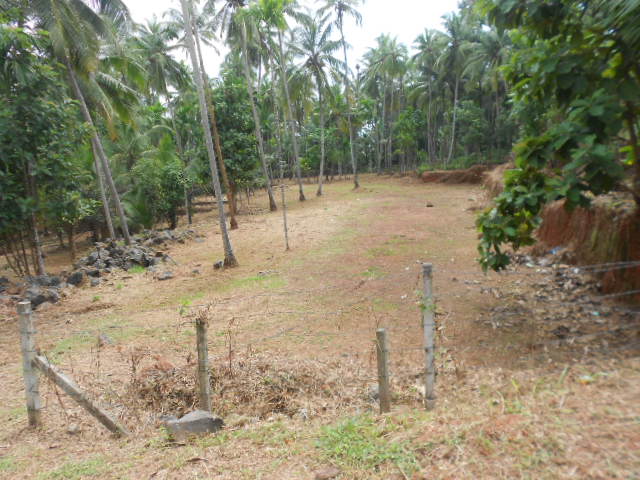 good investment land for sale in calicut city.