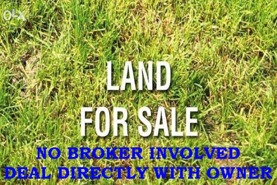 residential plot of 6 cents near palath