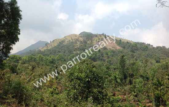 60 cent land for sale in near banasurasargar dam (padinjarathara).
