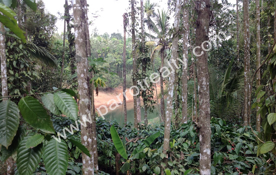 10 cents dam view property for sale in near banasura sagar dam