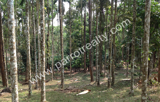 2.30 acre land for sale in near banasura sagar dam.