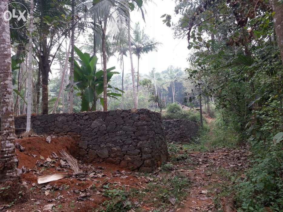 land for sale in calicutbalusseri