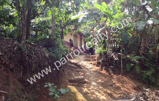 4 acre land for sale in near vellamunda.