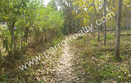 10 cent land for sale in near cheengodu (wayanad).