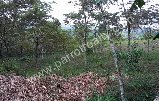 1acre land for sale in near chundakara