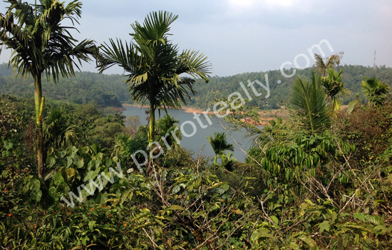 1 acre land for sale in banasura sagar (padinjarathara).