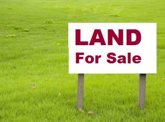 7 cent plot@kavu stop kozhikode.