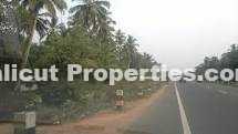 plot for sale kozhikode chelannoor near ambalapadu
