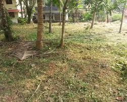 5 cent for sale in calicut city